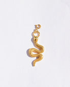 Gold snake-shaped pendant on a light gray background